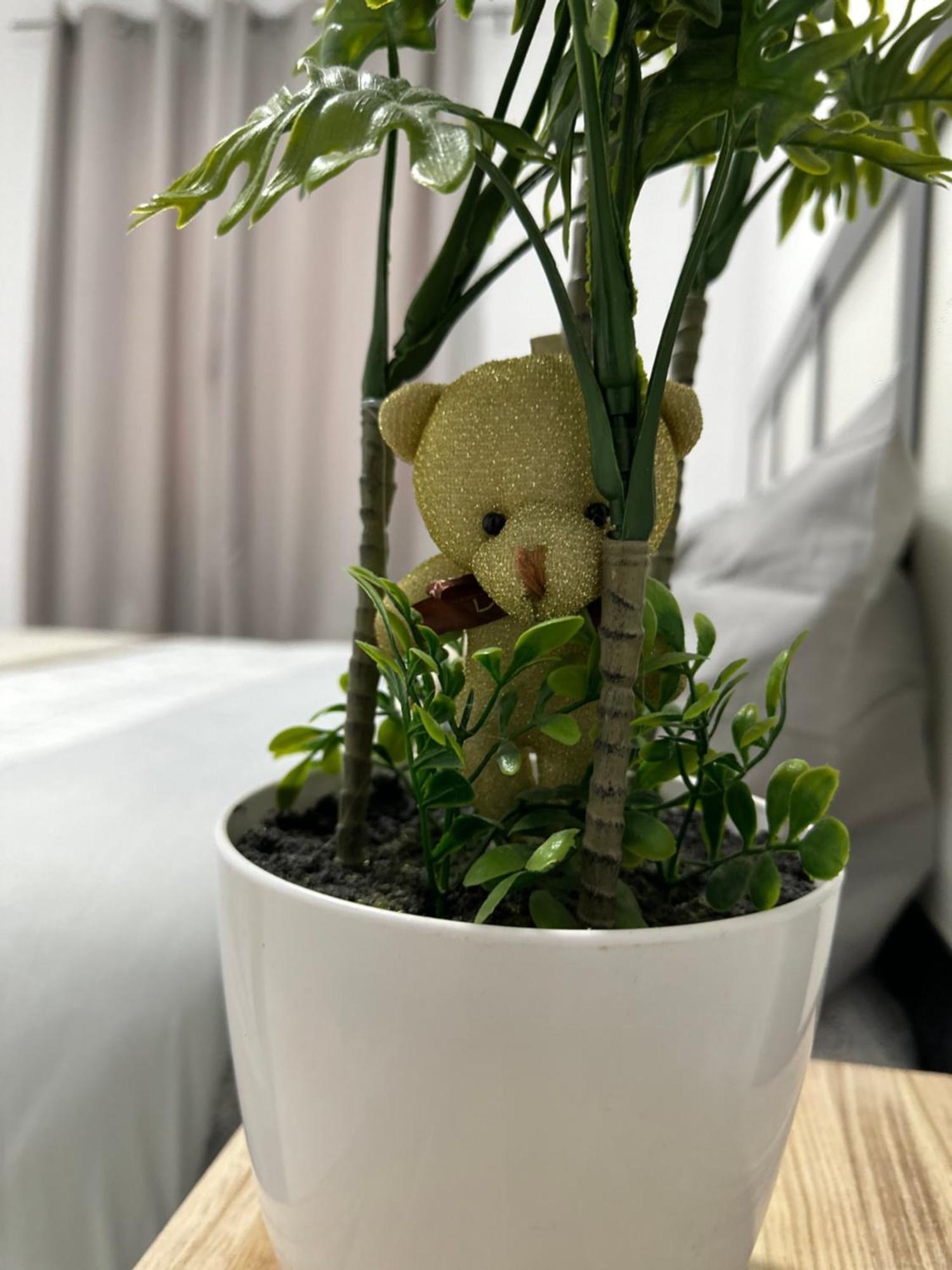 מדריד Rooms Mediavilla מראה חיצוני תמונה
